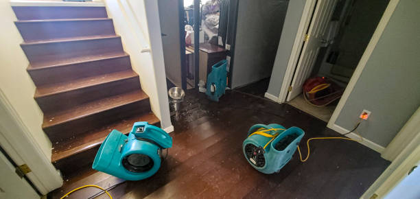 Best 24-hour water damage restoration  in Logan, WV