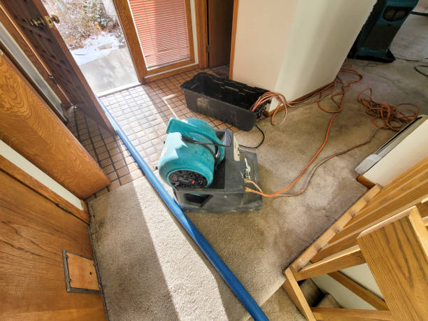 Best Water damage restoration near me  in Logan, WV