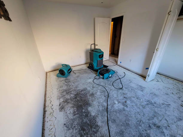Best 24/7 water damage repair  in Logan, WV