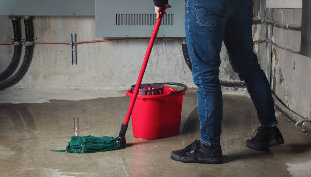  Logan, WV Water damage restoration Pros