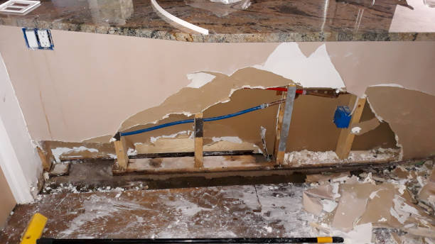 Best Water damage cleanup near me  in Logan, WV