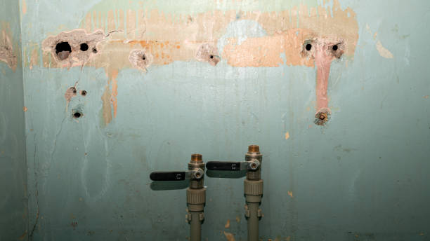 Best Emergency water damage restoration  in Logan, WV