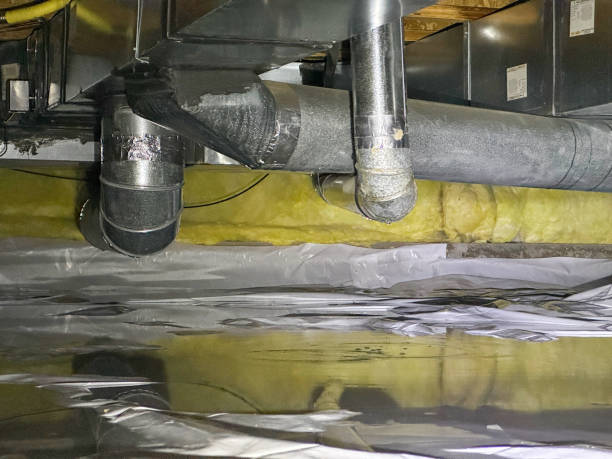 Best Sewage cleanup and water damage restoration  in Logan, WV