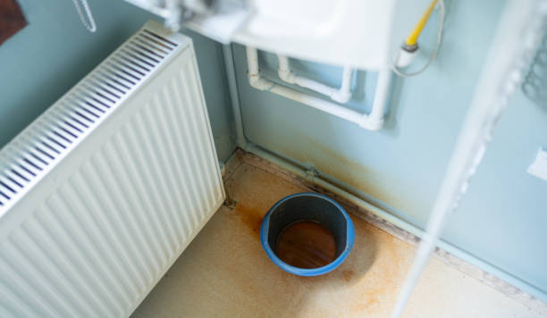 Best Basement water damage restoration  in Logan, WV