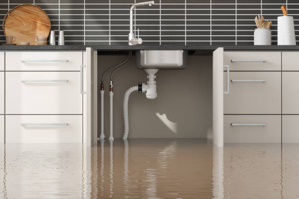 Best Water damage cleanup near me  in Logan, WV