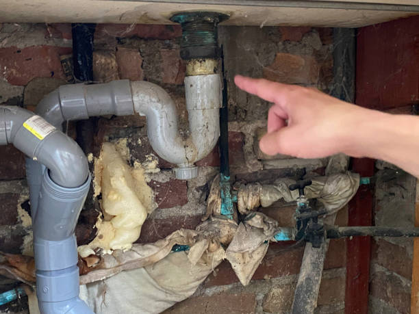 Best Water damage restoration near me  in Logan, WV