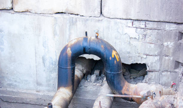 Best Local water damage restoration  in Logan, WV