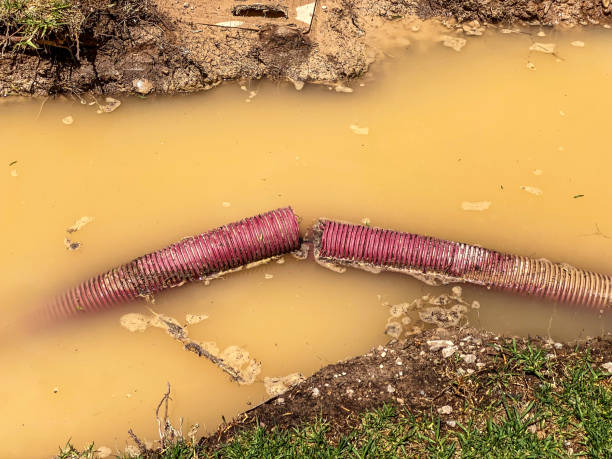 Best Commercial water damage restoration  in Logan, WV